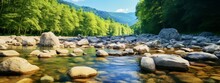 Closeup Nature Pebble Stone In Water River Nature Background Freshness Scenery Water Scape Topview Of Shallow Water River Daylight