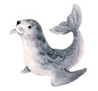 watercolor illustrations of a seal isolated on a white background. Arctic water world