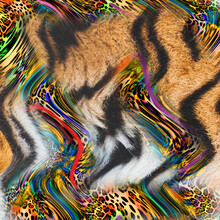 Combination Textile Collage Pattern Of Wave And Lines Colored Leopard Snake Tiger Textures
