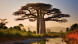 Baobab tree in the sunset created with Generative AI technology
