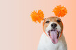 Happy excited dog wearing party hat with wide open mouth.
