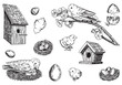 Spring time outline collection. Sketches set of birds, nest, chicks, bird houses, eggs. Vector illustration in engraving style isolated on white.
