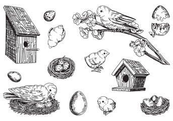 spring time outline collection. sketches set of birds, nest, chicks, bird houses, eggs. vector illus