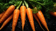 Bunch of wet carrots on a black background. Banner concept for grocery store.