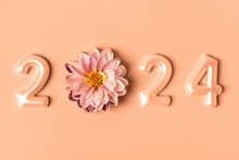 Numbers And Dahlia Flowers. 2024 New Year Idea Concept. Trendy Color Of Year 2024 - Peach Fuzz. Trendy Color Palette Sample.