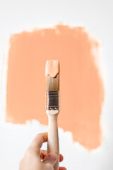 Wall Mural - Process of choosing paint for the walls during house renovation, peach fuzz color and brush in paint, color of the year 2024