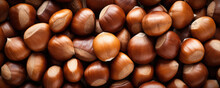 Texture Of Chestnuts For Design. Background Of A Large Number Of Chestnuts. Top View.