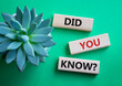Did you know symbol. Wooden blocks with words Did you know. Beautiful green background with succulent plant. Business and Did you know concept. Copy space.