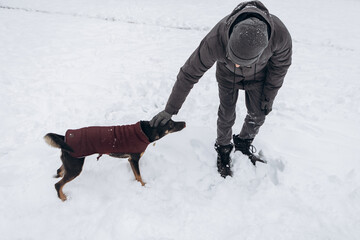 Young man having fun with dog in winter play snowballs, snowy season in city park, holiday vacation weekend, enjoying spending time together

