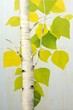 tree green leaves design milk magnolia stems teal studio backdrop yellow walls aspen grove background young white plank siding canadian maple pour paint parasol