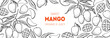Ripe mango sketch. Hand drawn vector illustration. Tropical fruit. Packaging design, menu design, juice packaging. Mango frame.