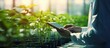 © vxnaghiyev - Agricultural Engineers Test Plants Health and Analyze Data with Tablet Computer Biotechnology engineer examining plant leaf for disease. Copyspace image. Square banner. Header for website template
