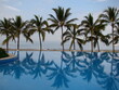 palm trees by the beach and pool reflection landscape