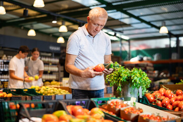 Canvas Print - Elderly man shopper choosing cucumbers and tomatoes in grocery store