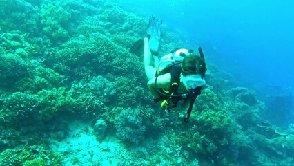 Poster - Adventure, woman scuba diving in coral and nature under water in Raja Ampat, biodiversity or tropical ocean holiday. Blue sea, underwater ecology and diver swimming on island vacation in Indonesia.