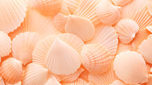 A Close Up Of A Bunch Of Shells. Monochrome Peach Fuzz Background.