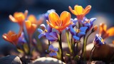 Fototapeta Kwiaty - Flowers, background image, flower field, brightness, freshness, scenery, landscape, nature