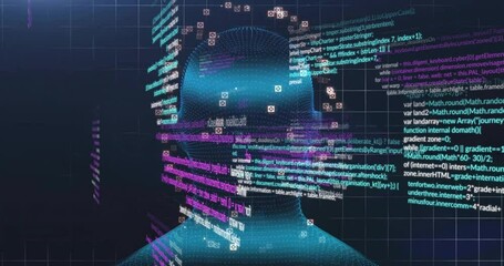 Wall Mural - animation of human head and data processing over dark background