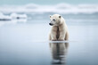 Ein Eisbär steht auf einer schmelzenden Eisscholle. Symbol für den Klimawandel