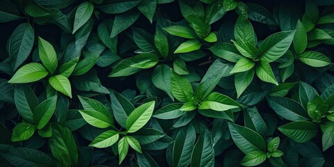 close up of fresh and vibrant leaves in summer garden. bright and organic background showcases beaut