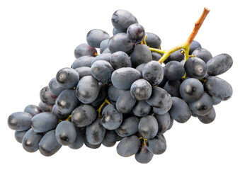 Wall Mural - black grapes isolated on white background, black or purple grape on white background png file.