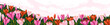© Good Studio - Field flowers landscape panorama. Meadow floral plants, spring nature background. Gentle summer blooms, blossomed wildflowers, beautiful gorgeous crocuses, wide banner. Flat vector illustration