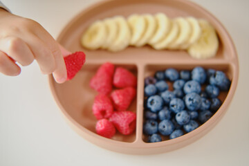 Wall Mural - The little baby hand reaches for a fresh raspberry from the plate of fruits and berries on the table. Kid boy aged two years (two-year-old)