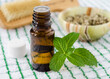 Small bottle with essential mint oil and fresh spearmint green leaves. Aromatherapy and herbal medicine concept.