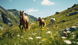 Recreation of wild horses in a field a sunny day