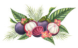 Mangosteen with palm leaves and flowers. Watercolor hand drawn illustration of exotic tropical Fruit on isolated background. Drawing of asian food with garcinia and juicy slices. Sketch of mangostana.