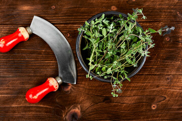 Wall Mural - Fresh marjoram, medicinal herb.