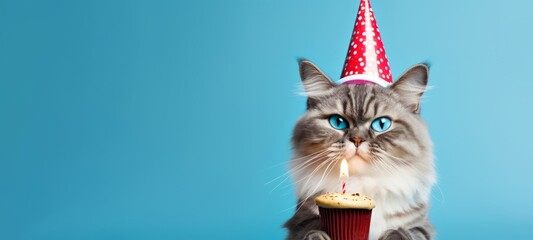  Happy Birthday, carnival, New Year's eve, sylvester or other festive celebration, funny animals card -Cat with party hat and cupcake with candle isolated on blue background