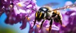Encounter the vibrant Violet Carpenter Bee Xylocopa violacea Late spring shots. Website header. Creative Banner. Copyspace image