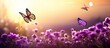 How beautifully beautiful butterflies are floating on purple flowers it looks very beautiful surrounded by green nature open sky and shining sun around. Website header. Creative Banner