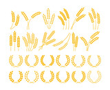 Fototapeta  - Wheat and barley ears. Wheat wreaths with ripe yellow grains, rice and oats stalk, rye grains ear silhouettes. Cereals organic food, beer and bread vector logo