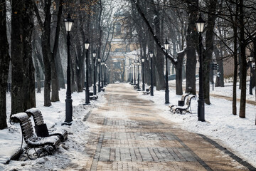 Canvas Print - Alley in the winter city park