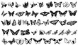 Black and white butterfly icon collection