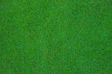 overhead of green grass in sports stadium for background or texture. close up of natural green lawn 