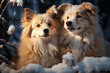 enchanting photo of puppies surrounded by winter magic, expressing the innocence and charm of their adorable interactions, luminous and dreamlike style photo