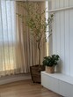 mosso bamboo in the corner of the room