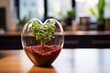 A heart-shaped glass terrarium with a small green plant inside, placed on a wooden table with a blurred indoor background