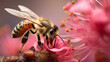 close up of a bee gathers pollen from a pink spring flower