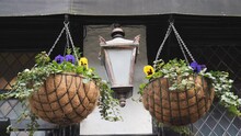 Two Hanging Flower Baskets With An Antique Street Lantern.