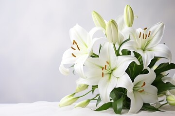 Wall Mural - Beautiful white lillies on light background.