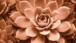 Rock rose succulent plant leaves rosette closeup in Peach Fuzz colors, background with selective focus and copy space