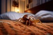 A bed bug crawls on the bed