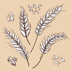 Wall Mural - Sloppy grunge black and white vector drawing of four spikelets. Doodle sketch of wheat, barley or rye stalks. For branding , advertising, logo.