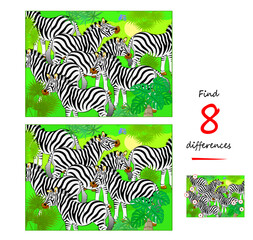 Wall Mural - Find 8 differences. Illustration of herd of zebras. Logic puzzle game for children and adults. Page for kids brain teaser book. Task for attentiveness. Vector cartoon drawing.