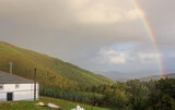 Fototapeta Tęcza - rainbow over green hills