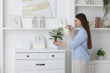 Canvas Print - Beautiful young woman watering green houseplant at home